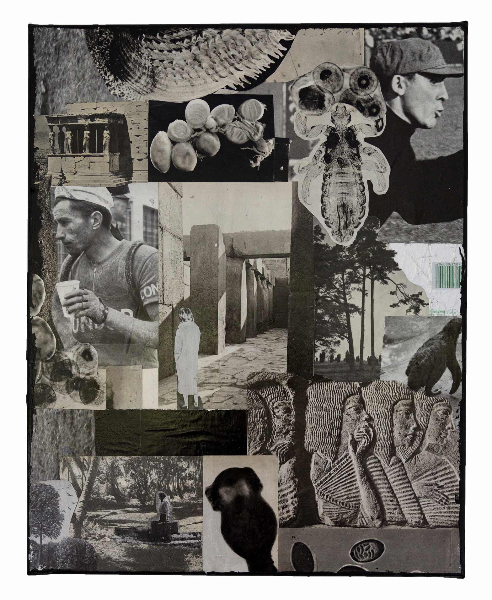 Collage Series | Aim and Decision 2017